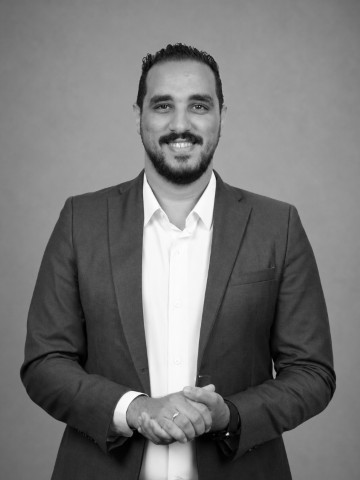 Mahmoud — Principal Consultant